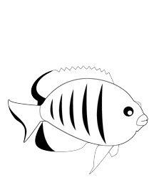 FlameFish Media